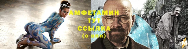 ECSTASY Алзамай