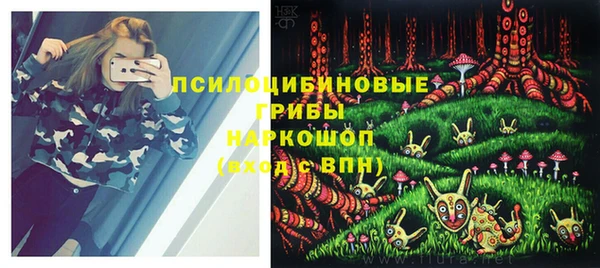 спайс Новодвинск