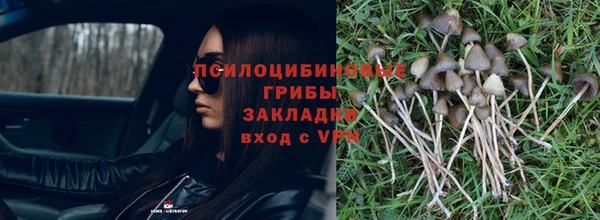 ECSTASY Алзамай